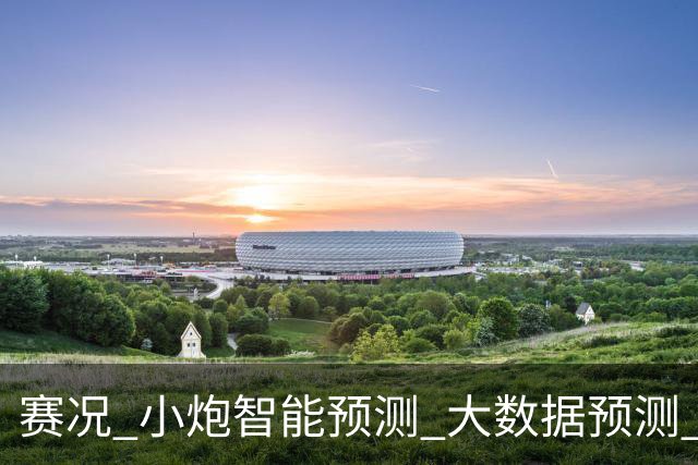 赛况_小炮智能预测_大数据预测_彩票预测-新浪彩通
